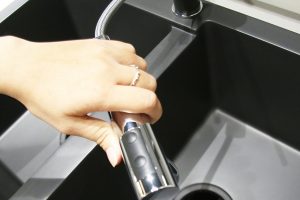 ảnh 4 vòi rửa bát Hafele HF-GC311 569.15.311