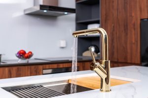Vòi rửa bát dây rút Artan Gold