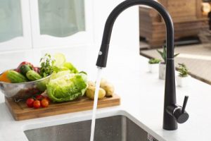 Vòi rửa bát dây rút KN1901B