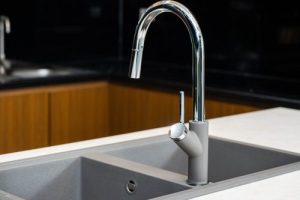 Vòi rửa bát dây rút Ponte Grey