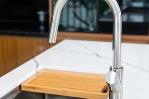 Vòi rửa bát dây rút Ponte Nickel